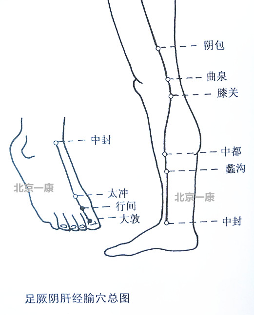 脉法针灸资料