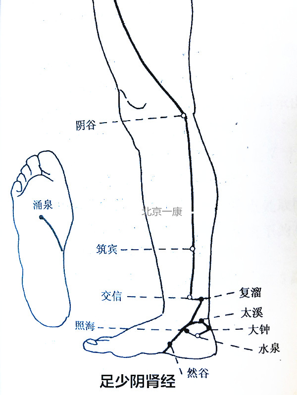 脉法针灸资料